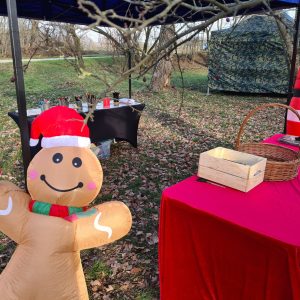 600366973_1203846128599559_1055726809755798120_n