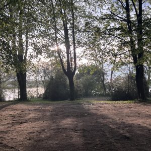 IMG_2121