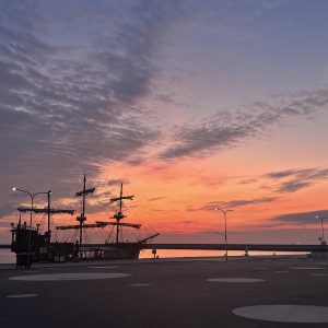 IMG_2797