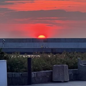 IMG_2802