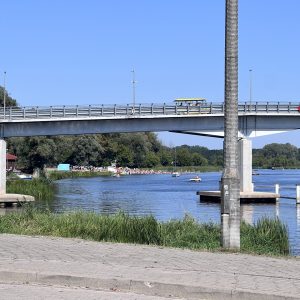 IMG_2859