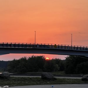 IMG_2871