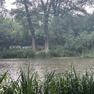 IMG_8909