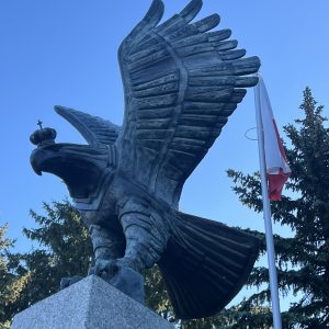 IMG_9538